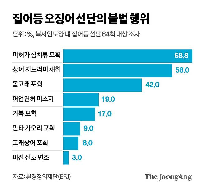김영희 디자이너