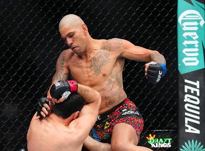 알렉스 페레이라. 사진=UFC