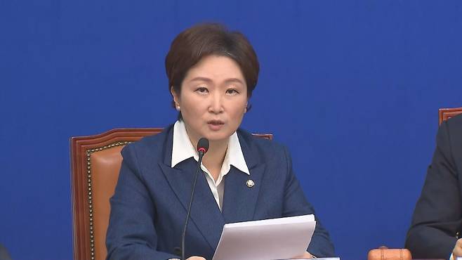 이언주 더불어민주당 의원