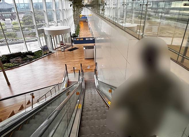지난 5월 7일 은코보가 인천국제공항 제2터미널 238번 게이트 인근 실외 정원을 배회하고 있다. 중앙포토