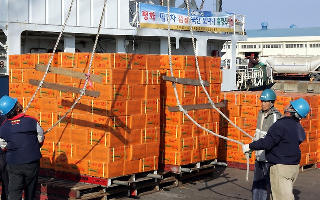지난 2004년 제주도에서 북한으로 보낸 감귤. 연합뉴스