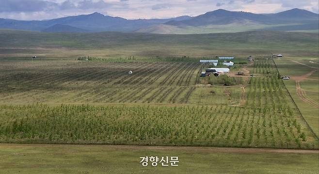 몽골 투브아이막 바양척트솜에 조성된 조림지. 바양척트 | 반기웅 기자