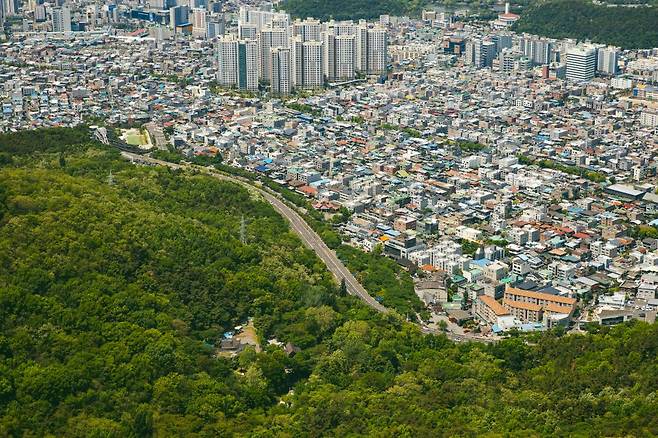 초록과 도심의 경계선
