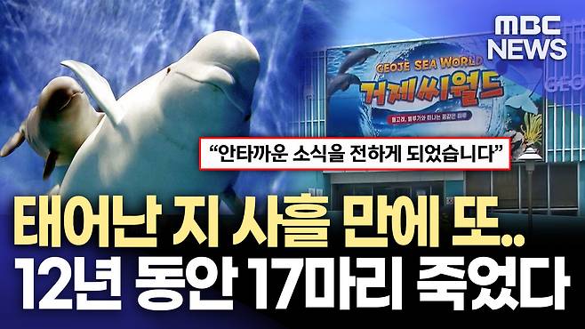 뉴스 관련 사진