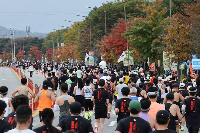 강원 춘천시에서 열린 2025 조선일보 춘천마라톤 40km 지점에서 참가자들이 달리고 있다. 2025.10.26 /박성원 기자