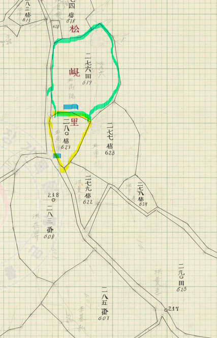 1910년대 지적원도에 나타난, 박완서 할아버지인 박주양(朴胄陽)씨의 소유 대지(노란 부분)과 소유 밭(파란 부분). 국가기록원 지적아카이브 자료