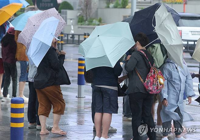 비바람 부는 부산 해운대 (부산=연합뉴스) 강선배 기자 = 장마가 시작된 1일 부산 해운대구 구남로 횡단보도에서 우산을 쓴 관광객들이 신호를 기다리고 있다. 2026.7.1 sbkang@yna.co.kr
