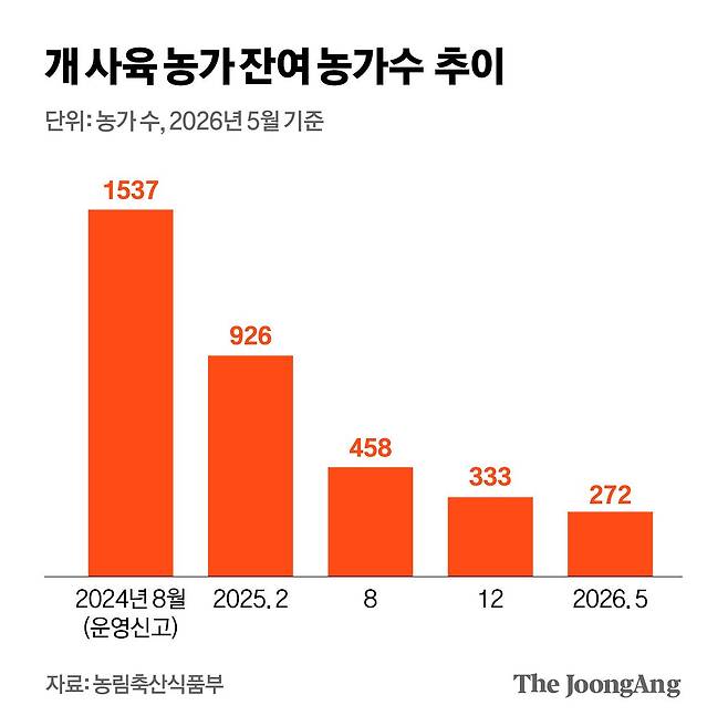 김영희 디자이너