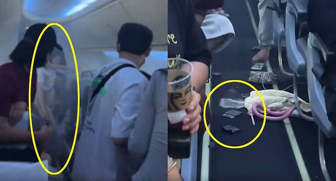 20일 인천발 보라카이행 티웨이항공 TW125편에서 승객이 소지한 보조배터리에서 연기가 나자 객실 승무원이 신속하게 소화기를 분사하고 있다. 사진 온라인 커뮤니티 캡처