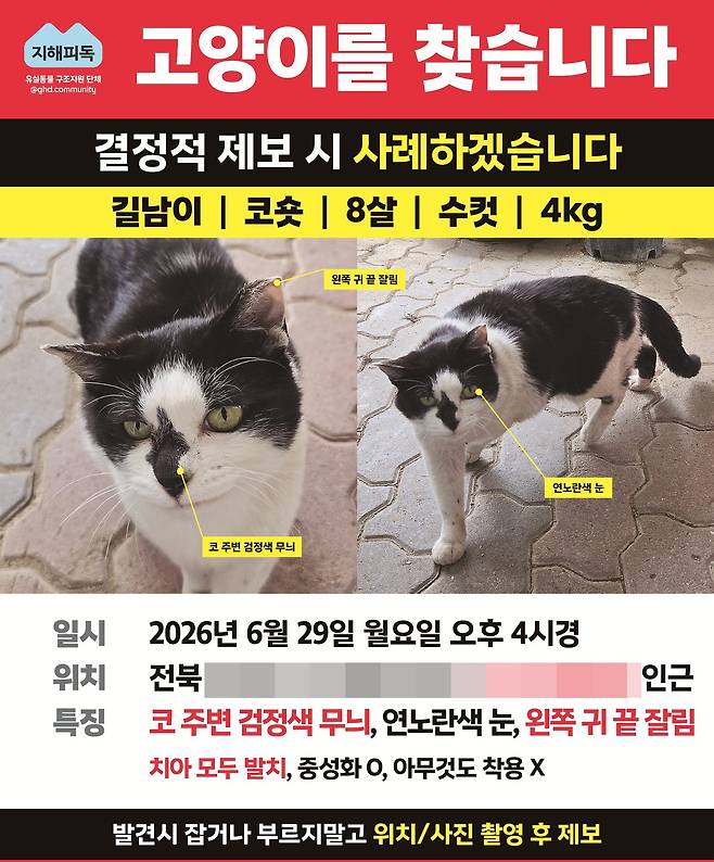 길남이 실종 전단지(지해피독 제공) ⓒ 뉴스1