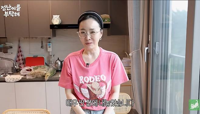 유튜브 '김정난' 캡쳐