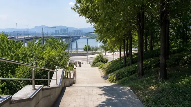 뚝섬 한강공원의 넓은 강변 잔디와 한강 물빛, 도심 스카이라인이 보이는 여름 오후 전경