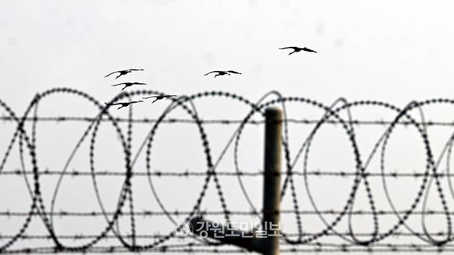▲ 강원도민일보 자료 사진