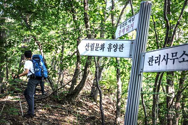 등산로가 아닌 곳으로 향한다. 어떤 길이 펼쳐질지, 불길하면서도 기대된다.