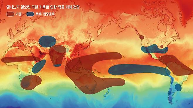 그래픽=김현국