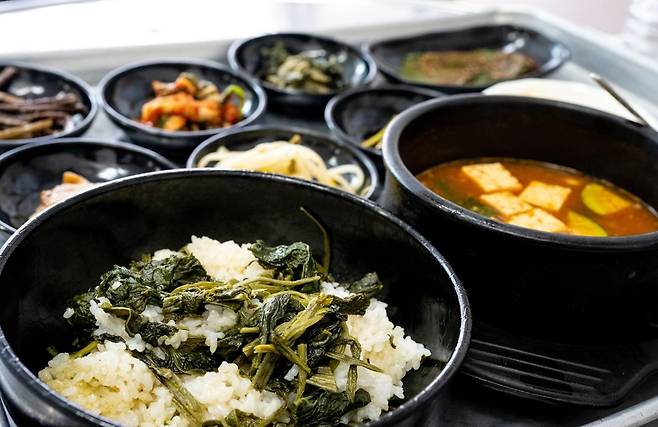된장찌개를 곁들인 정선 곤드레밥 정식. 정선=이한호 기자