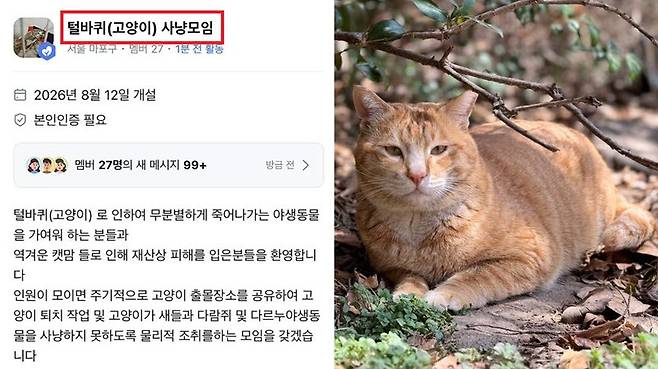 (사진=온라인커뮤니티(좌), 뉴스1)