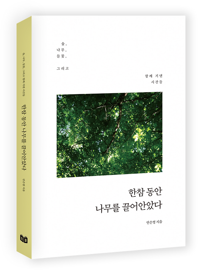 ▲한참 동안 나무를 끌어안았다