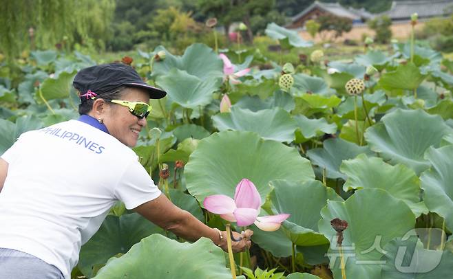 22일 오후 대구 달성군 남평문씨본리세거지를 찾은 2026 대구세계마스터즈육상경기대회 필리핀 참가자가 활짝 핀 연꽃을 감상하며 환하게 웃고 있다. 2026.8.22 ⓒ 뉴스1 이성덕 기자