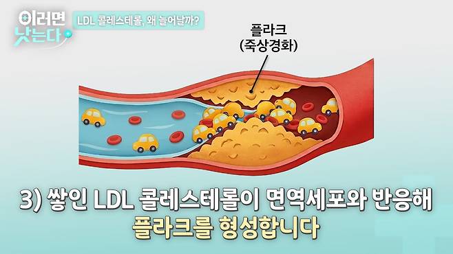 /조선일보 의학·건강 유튜브 '이러면 낫는다'