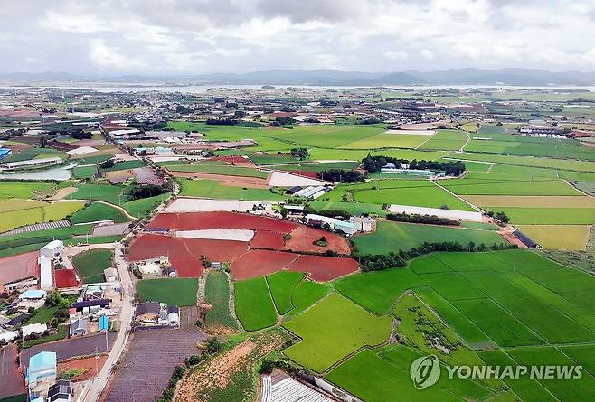 광주 군 공항 이전후보지로 무안군 망운면 확정 (전남광주=연합뉴스) 정다움 기자 = 국방부는 28일 광주 군공항 이전부지 선정위원회를 열어 무안군 망운면 일대를 광주 군공항 이전 후보지로 확정했다고 밝혔다.
사진은 이날 오전 전남광주 무안군 한 마을회관에서 바라본 무안국제공항과 망운면 일대의 모습. 2026.8.28 daum@yna.co.kr
