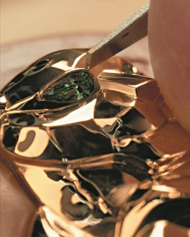 팬더 메달리온 워치 사부아-페어 이미지. ©Cartier ©Camille Salvan