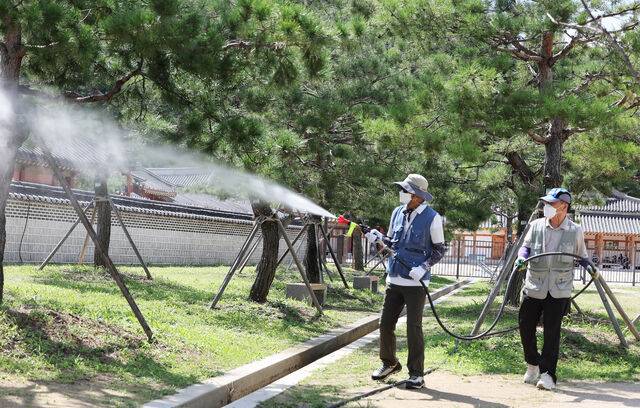 지난달 25일 경기도 수원시 팔달구 화성행궁 인근에서 팔달구보건소 관계자들이 모기 방역 작업을 하고 있다. 연합뉴스