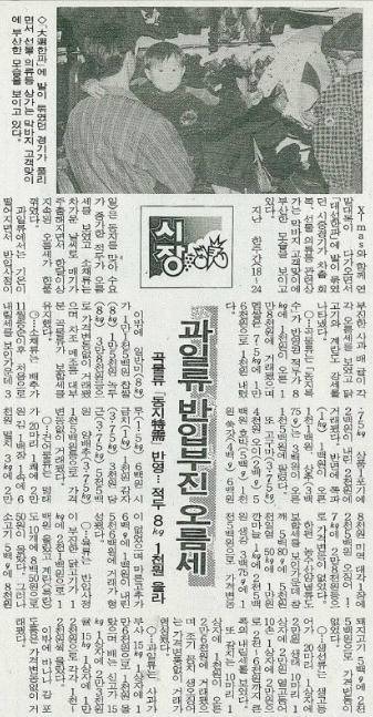 ▲강원도민일보 1992년 12월 26일 5면 기사.