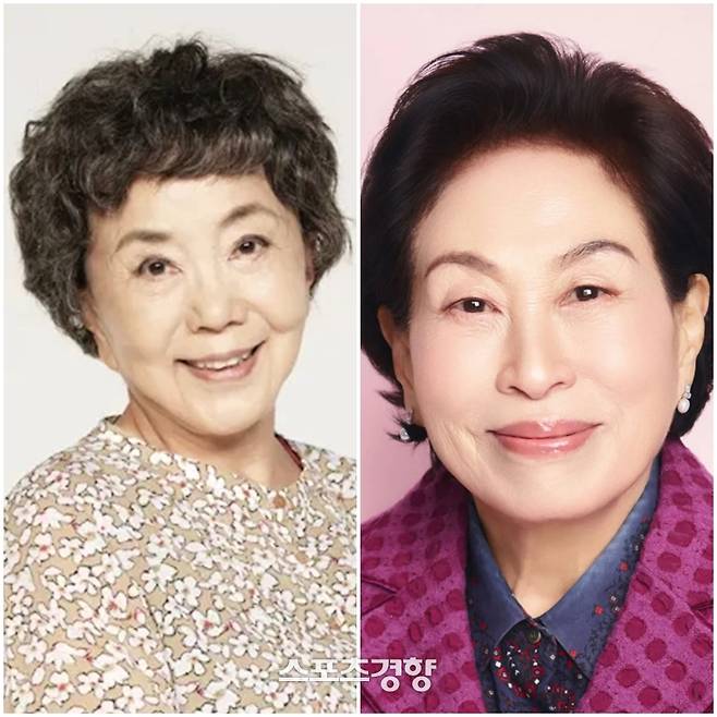 배우 사미자(왼쪽)와 전원주. 스포츠경향DB