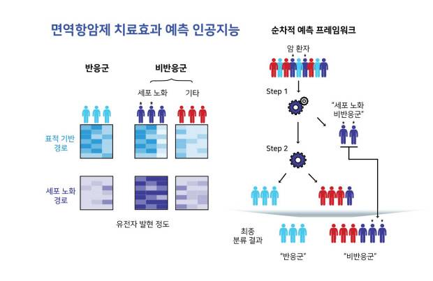 포스텍 생명과학과·융합대학원 김상욱 교수와 인공지능대학원 통합과정 김민수 씨 연구팀이 개발한 면역항암제 치료효과 예측 인공지능의 순차적 예측 프레임워크. 포스텍 제공