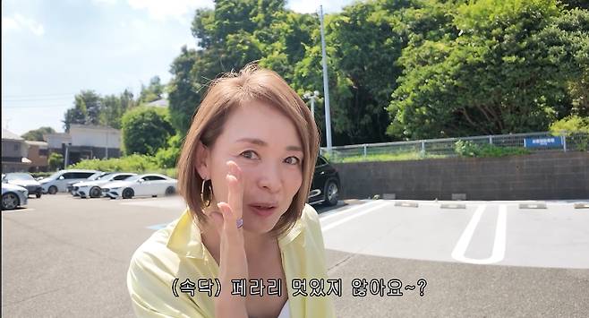 /사진=유튜브 채널 '야노시호'