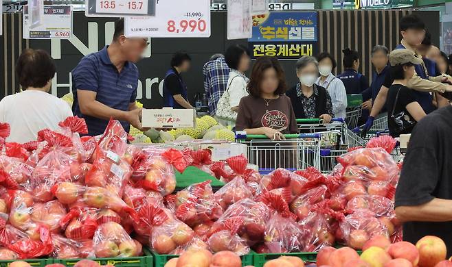 20일 서울 농협하나로마트 양재점이 추석 장을 보려는 시민들로 붐비고 있다. 대형마트에서는 물가 등을 감안해 할인 매대에 손님이 몰리는 현상이 더욱 뚜렷해졌다. 이승환 기자