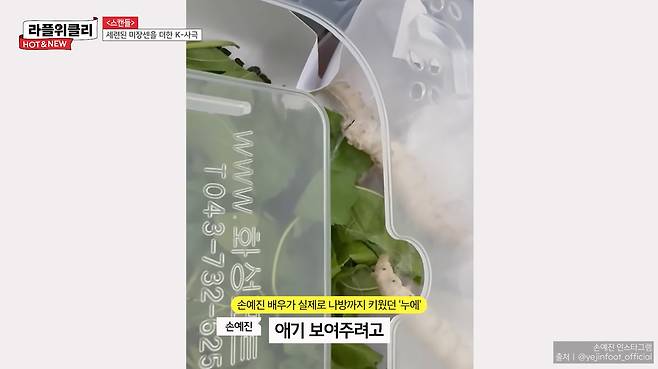 사진=유튜브 채널 '라이프플러스 티비' 영상 갈무리