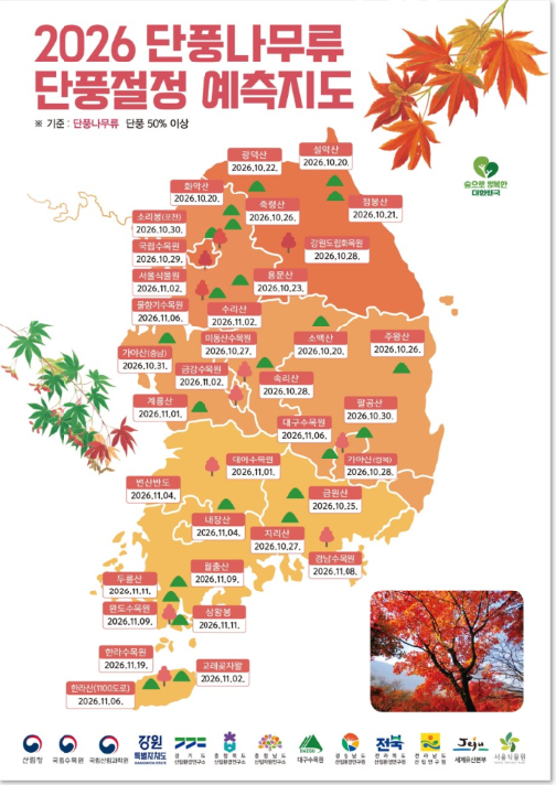 사진=2026_단풍절정 예측지도 단풍나무류 (산림청 제공)