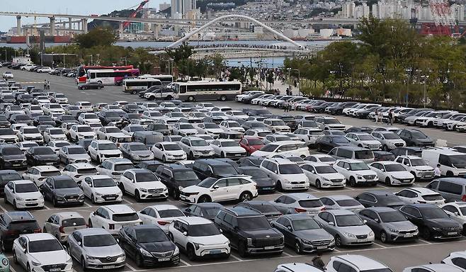 23일 부산 동구 부산항 북항 친수공원 수로에 출몰한 상어를 보기 위해 많은 시민과 관광객들이 타고 온 차량이 부산항국제여객터미널 야외주차장을 가득 채우고 있다. 송봉근 객원기자