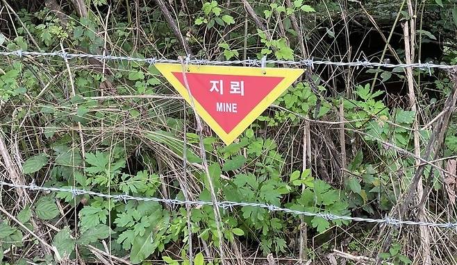 군사분계선 아래 남방한계선 근처에 있는 강원 철원 디엠제트 생태평화공원 탐방로 옆에 설치된 지뢰 표지판. 권혁철 기자