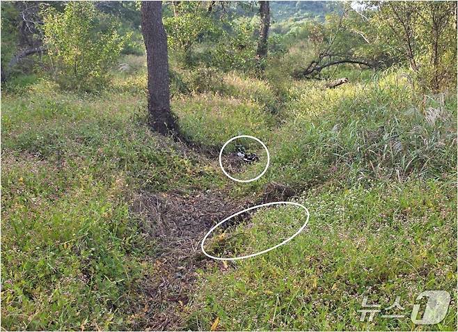 28일 서울 용산구 국방부에서 열린 DMZ 지뢰 추정 폭발 사고 브리핑에서 공개된 '지뢰 폭발 화구'의 모습. (합동참모본부 제공. 재판매 및 DB 금지) 2026.9.28 ⓒ 뉴스1
