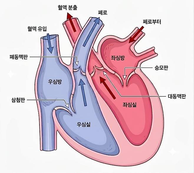심장