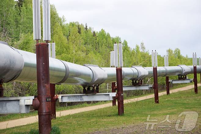 미국 알래스카주 페어뱅크스의 액화천연가스(LNG) 파이프라인. ⓒ 뉴스1 ⓒ 로이터=뉴스1