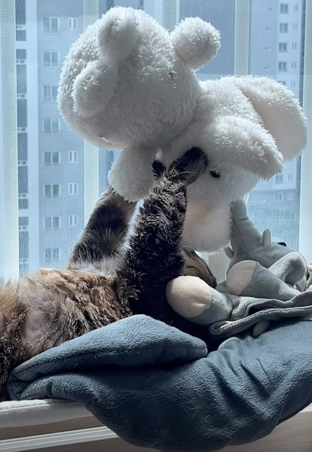 묘체공학적으로 디자인된 인형. 보호자 제공