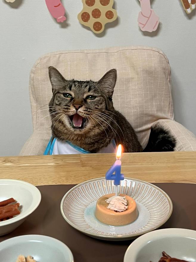 행님이의 4살 생일날. 보호자 제공
