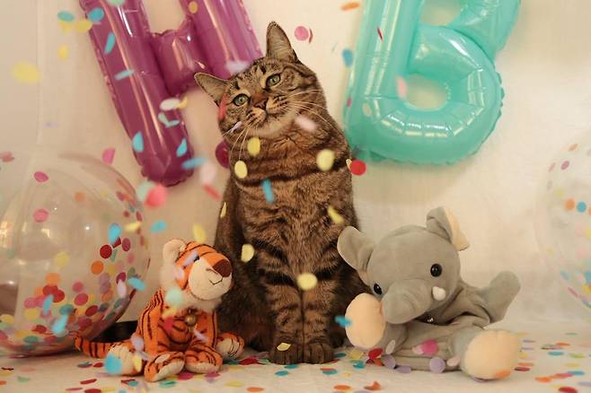 행님이의 생일날. 보호자 제공