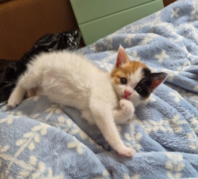 할머니 할아버지께 웃음을 가져다 둔 귀염둥이. 보호자 제공