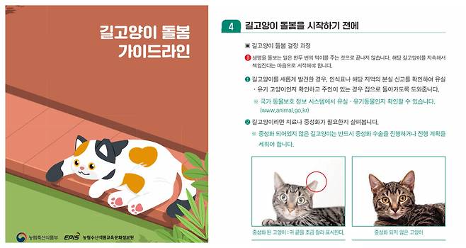 농림축산식품부와 농림수산식품교육문화정보원이 마련한 ‘길고양이 돌봄 가이드라인’. 가이드라인에는 길고양이 돌봄 전 유실·유기동물 여부와 중성화 여부를 확인하고, 중성화되지 않은 경우 수술을 진행하거나 계획을 세워야 한다는 내용 등이 담겼다. (사진=농림축산식품부)