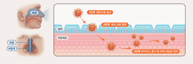 교실·독서실 오래 머무는 수험생, 코 점막 관리가 필요한 이유|출처: 하이닥