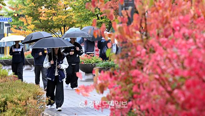 ▲ 가을비가 내린 13일 강원대 춘천캠퍼스에서 학생들이 우산을 쓰고 가을빛으로 물든 나무 아래를 걷고 있다. 방도겸 기자