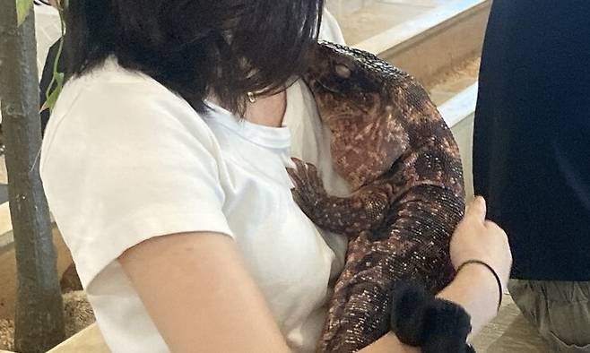 정부가 가정에서 키워도 되는 외래 야생동물을 정한 ‘백색목록’이 심의 기구도 없이 지정된 것으로 드러났다. 한 전시시설에서 관람객이 테구도마뱀을 안고 있다. 동물복지문제연구소 어웨어 제공