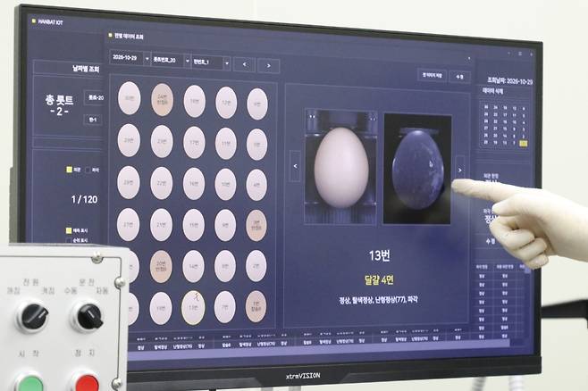 AI 기반 계란 품질평가 장비를 통해 판정한 계란 이미지(농림축산식품부 공동취재단)