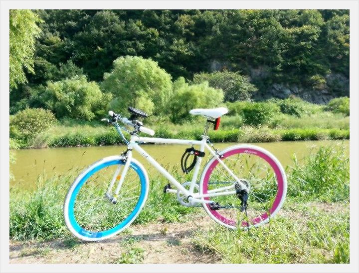 폴 프랭크 자전거