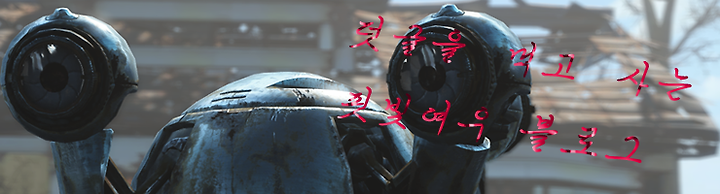 폴아웃4 모드 Eye Normal Map Fix Fallout 4 Edition 눈 노멀맵 개선
